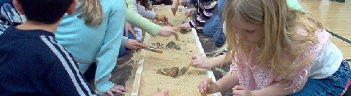 Dinosaur Dig