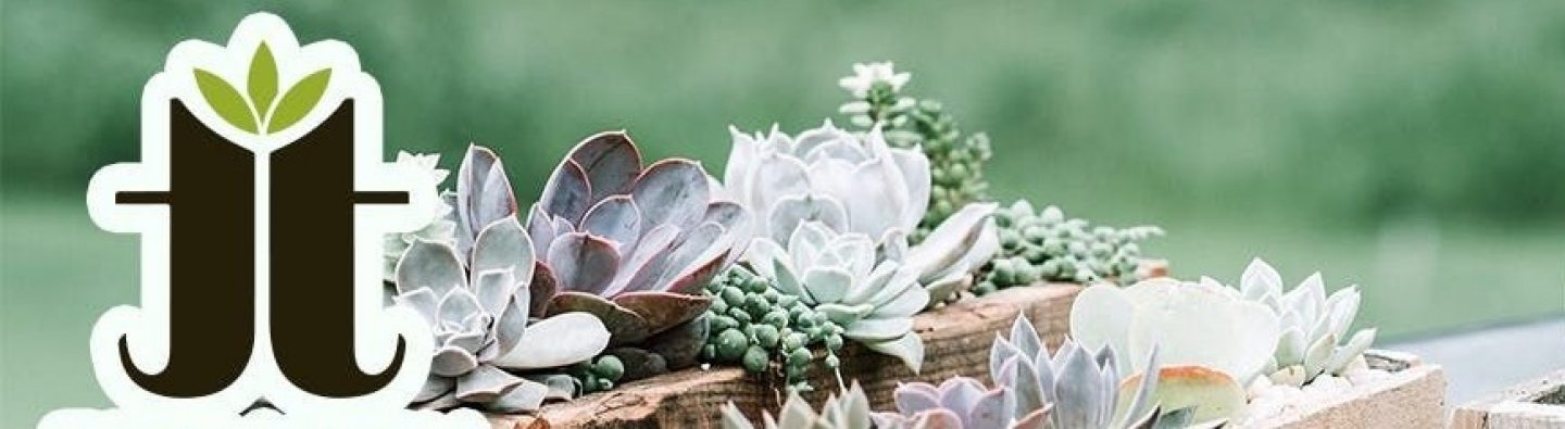 Terrarium Therapy Workshop